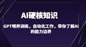 AI硬核知识-GPT喂养训练，自动化工作，带你了解AI的能力边界（10节课）-智慧宝库