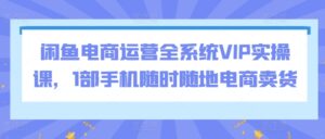 闲鱼电商运营全系统VIP实操课，1部手机随时随地电商卖货-智慧宝库