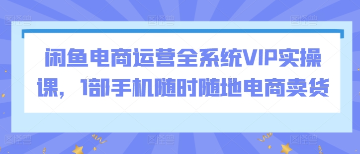 闲鱼电商运营全系统VIP实操课，1部手机随时随地电商卖货-智慧宝库