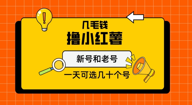 几毛钱撸小红书纯新号和老号，保姆级教程-智慧宝库