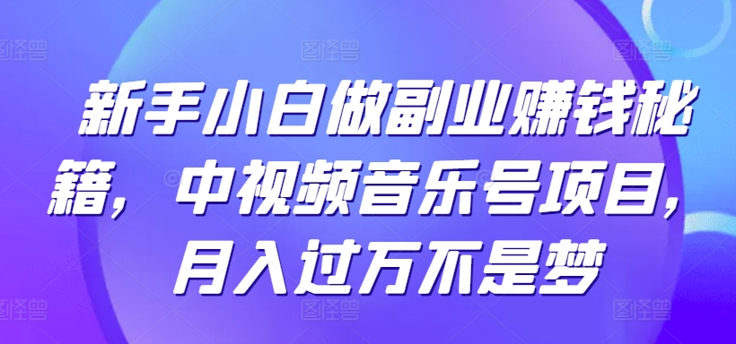 新手小白做副业赚钱秘籍，中视频音乐号项目，月入过万不是梦-智慧宝库