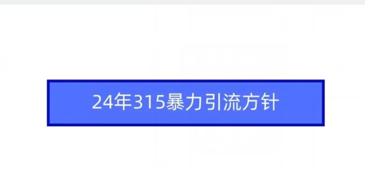 24年315暴力引流方针-智慧宝库