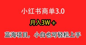 小红书商单3.0，月入3w+，蓝海项目，小白轻松上手-智慧宝库