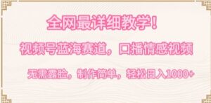 全网最详细教学，视频号蓝海赛道，口播情感视频，无需露脸，制作简单，轻松实现日入1000+【揭秘】-智慧宝库