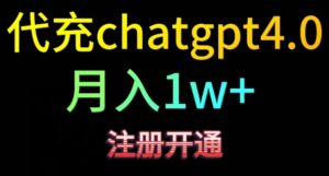 代充chatgpt4，日入500+，精准引流，暴力变现【揭秘】-智慧宝库
