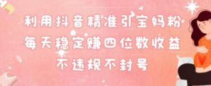 抖音精准引流宝妈粉每天变现四位数利润不违规不封号-智慧宝库