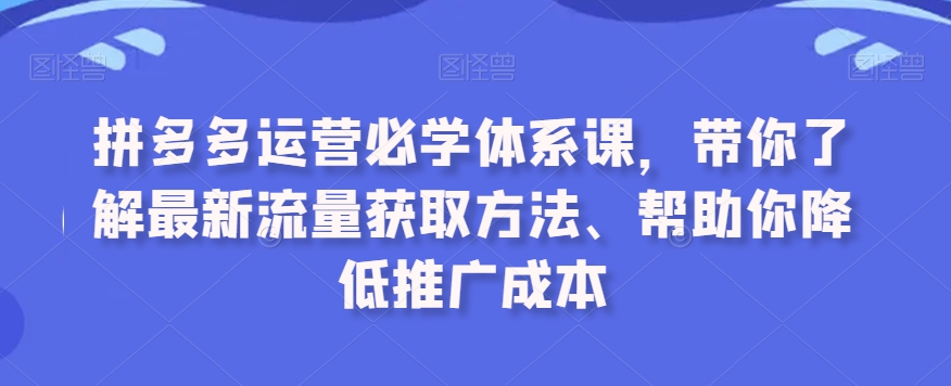 拼多多运营必学体系课，带你了解最新流量获取方法、帮助你降低推广成本-智慧宝库