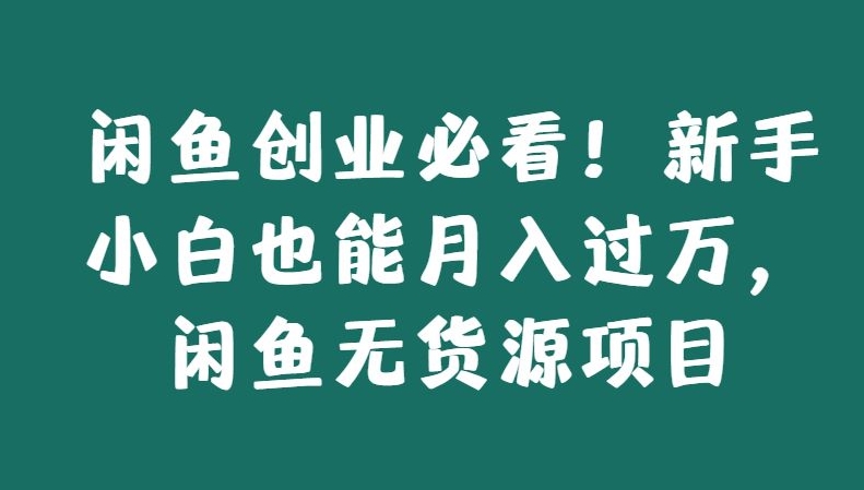 闲鱼创业必看！新手小白也能月入过万，闲鱼无货源项目-智慧宝库