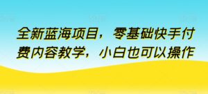 全新升级蓝海项目，零基础快手视频付费视频课堂教学，新手也可以操作【揭密】-智慧宝库
