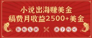 小说出海赚美金，稿费月收益2500+美金，仅需chatgpt粘贴复制，新手也能玩转【揭秘】-智慧宝库