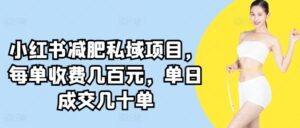 小红书减肥私域项目，每单收费几百元，单日成交几十单-智慧宝库