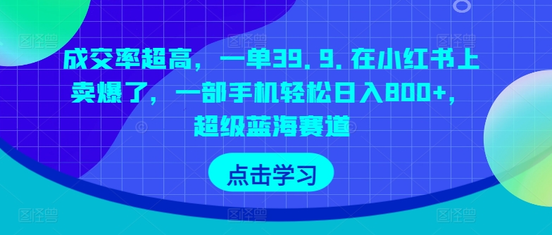 成交率超高，一单39.9.在小红书上卖爆了，一部手机轻松日入800+，超级蓝海赛道-智慧宝库