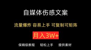 自媒体伤感文案，流量爆炸，容易上手，可复制可矩阵，月入3W+-智慧宝库