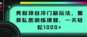 男粉项目冷门新玩法,售卖私密训练课程,一天轻松1000+【揭秘】-智慧宝库