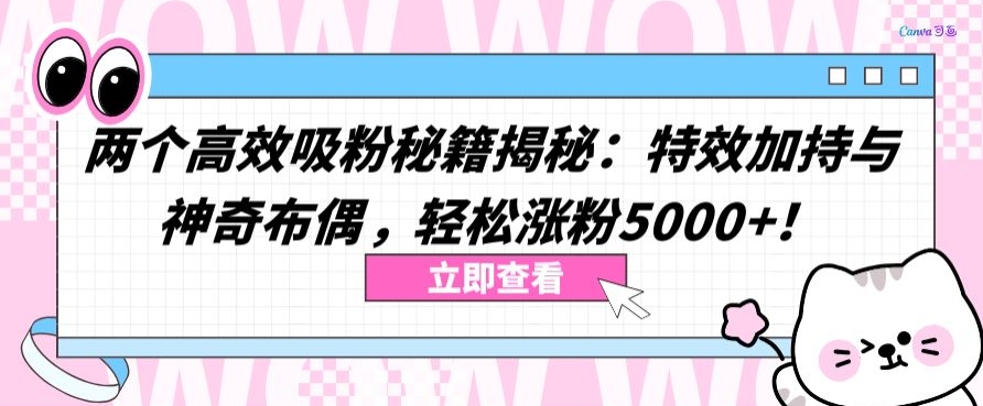 两个高效吸粉秘籍揭秘：特效加持与神奇布偶，轻松涨粉5000+【揭秘】-智慧宝库