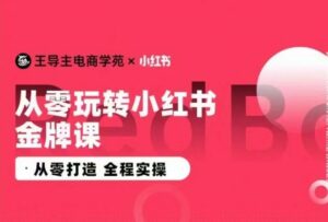 王导主·小红书电商运营实操课，​从零打造  全程实操-智慧宝库