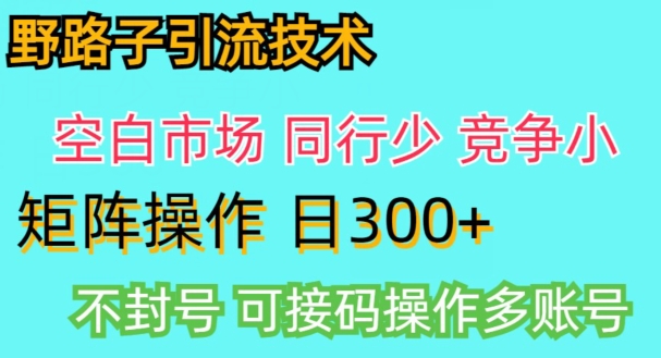 拼多多野路子引流创业粉实战教学，手动操作，用户转化率高-智慧宝库