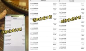 鸿铭网创88计第44计:用AI换脸做视频号分成计划,月收益突破2万+-智慧宝库