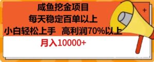 咸鱼挖金项目，每天稳定百单以上，小白轻松上手，高利润70%以上-智慧宝库