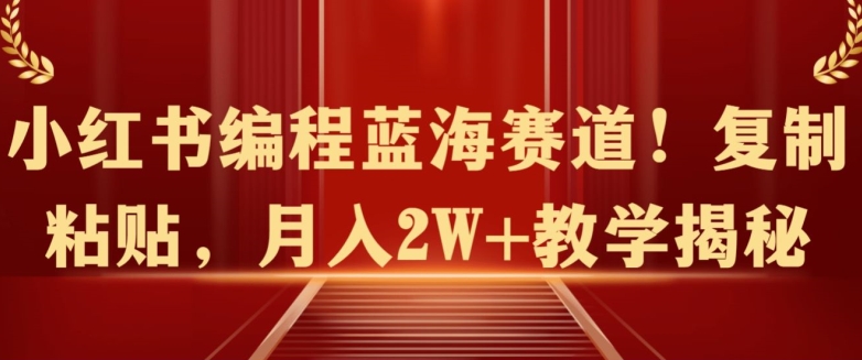 小红书编程蓝海赛道!复制粘贴，月入2W+教学揭秘-智慧宝库