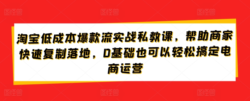 淘宝低成本爆款流实战私教课，帮助商家快速复制落地，0基础也可以轻松搞定电商运营-智慧宝库