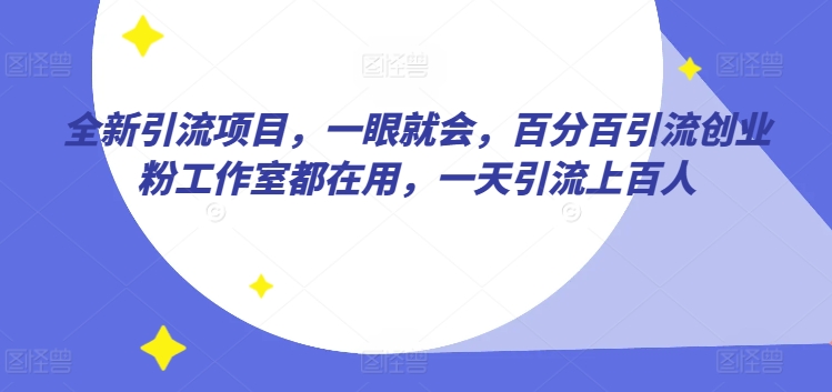 全新引流项目，一眼就会，百分百引流创业粉工作室都在用，一天引流上百人-智慧宝库