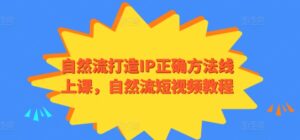 自然流打造IP正确方法线上课，自然流短视频教程-智慧宝库