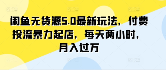 闲鱼无货源5.0最新玩法，付费投流暴力起店，每天两小时，月入过万!-智慧宝库