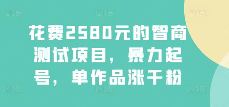 花费2580元的智商测试项目，暴力起号，单作品涨千粉-智慧宝库