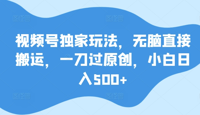 视频号独家玩法，无脑直接搬运，一刀过原创，小白日入500+-智慧宝库