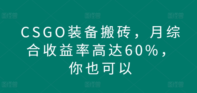 CSGO装备搬砖，月综合收益率高达60%，你也可以-智慧宝库