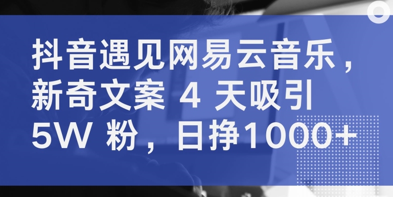 抖音遇见网易云音乐，新奇文案 4 天吸引 5W 粉，日挣1000+【揭秘】-智慧宝库