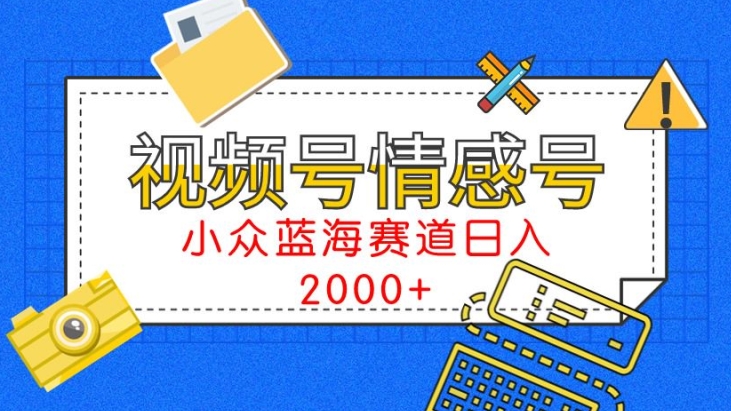 视频号情感号小众蓝海赛道，每天一小时，日入3000+-智慧宝库