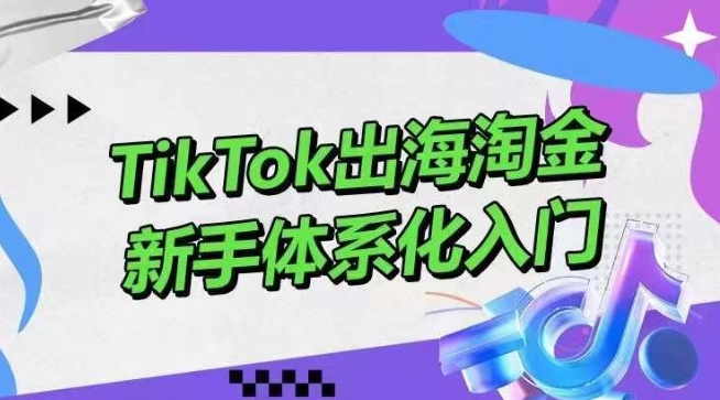 TikTok出海淘金，新手体系化入门，零基础快速入门，掌握短视频、直播带货等引流到变现的知识-智慧宝库