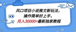 风口项目小说推文新玩法，操作简单好上手，月入30000+最新独家教程-智慧宝库