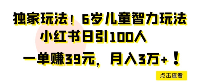 独家玩法，6岁儿童智力玩法，小红书日引100人-智慧宝库