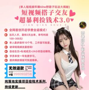 单人短视频年赚60w野路子玩法大揭秘,短视频搭子交友超暴利捡钱术3.0-智慧宝库