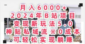 月入6000+,2024年B站项目变现新玩法5.0.神贴私域流0成本,可轻松实现躺赚-智慧宝库