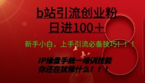 日引创业粉 100+ b 站全套打法【实操视频】-智慧宝库