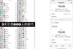 鸿铝网创88计第四十二计：抖音王婆相亲变现私域项目，日入1000+-智慧宝库