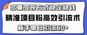 精确新项目粉高效率引流术,初学者单日引流方法50 ,多种变现模式稳定赚钱【揭密】-智慧宝库