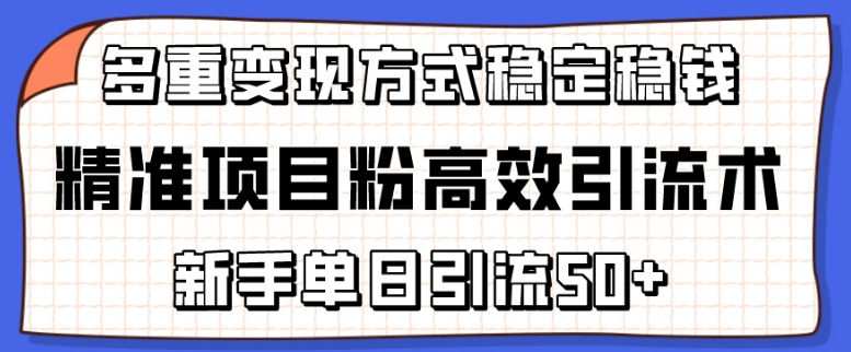 精确新项目粉高效率引流术，初学者单日引流方法50 ，多种变现模式稳定赚钱【揭密】-智慧宝库