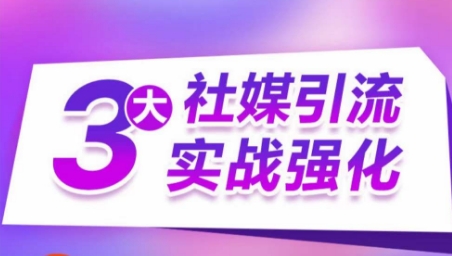 3大社交媒体引流方法实战演练加强，多种渠道站外引流，高效率营销获客，订单信息销售总额翻倍增长-智慧宝库