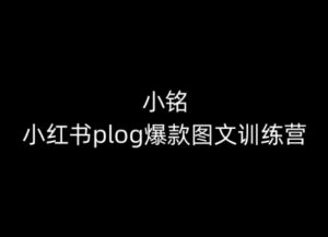 小铭-小红书的plog爆品图文并茂夏令营，教大家从0-1做小红书的-智慧宝库