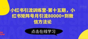 小红书引流夏令营-第十五期，小红书的矩阵账号月引流方法80000 进微信科学方法论-智慧宝库