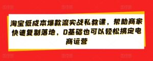 淘宝低成本爆款流实战私教课,帮助商家快速复制落地,0基础也可以轻松搞定电商运营-智慧宝库