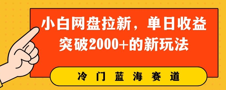 小白网盘引流，单日盈利提升2000 的新玩法-智慧宝库