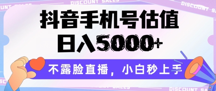 抖音手机号公司估值，日入5000 ，不露脸直播，新手秒入门【揭密】-智慧宝库