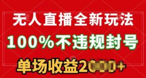 无人直播全新玩法，100%不违规封禁，24钟头持续播-智慧宝库