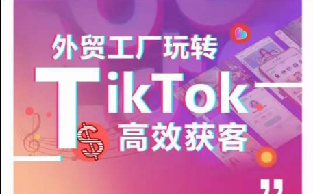 外贸工厂轻松玩TikTok高效率拓客，多种多样推广方式与内容创作方法，拆卸爆款短视频打造成功实例-智慧宝库